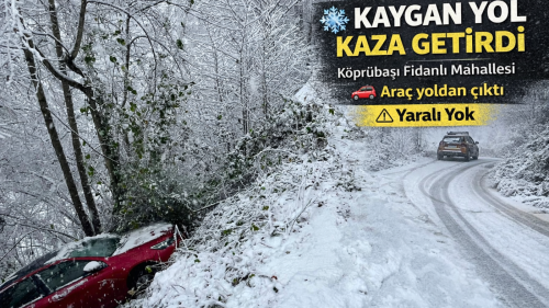 Köprübaşı’nda Kar Kazası: Araç Yoldan Çıkarak Şarampole Düştü